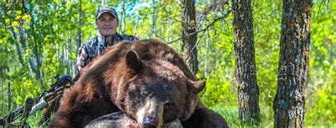 Manitoba Black Bear Hunting Outfitters | Bear Hunting Manitoba Canada