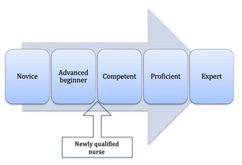 dreyfus  dreyfus  stage model  competence   benners