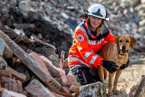 Sachsens Rettungs Hunde Unter Tr Mmern Haben Sie Den Besten Riecher