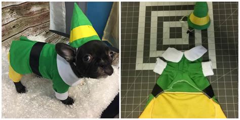 Etsy Is Selling a Buddy the Elf Costume for Your Dog