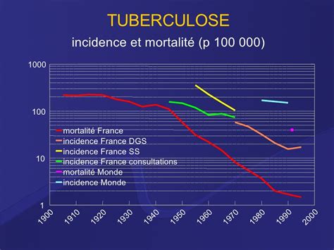 La Tuberculose Pulmonaire Fxl 12 02 08