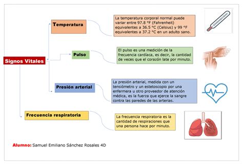 Mapa Conceptual De Los Signos Vitales Esquemas Y Mapas Conceptuales