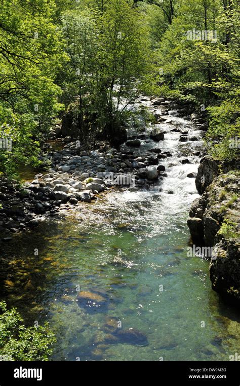 River Allier, Auvergne, France Stock Photo - Alamy