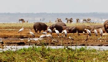 Climat De La Tanzanie Mois Par Mois O Et Quand Partir En Tanzanie