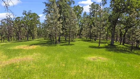 Redding Shasta County CA Farms And Ranches Lakefront Property