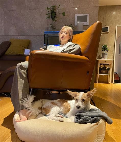 BLACKPINK's Jisoo Updates Fans On Rosé's Adopted Dog, Hank - Koreaboo