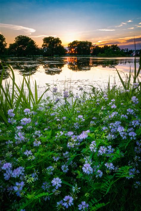 Sunset Park | Luke Collins Photography Print Store