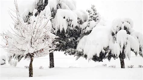 Beautiful View of Kashmir with Snowfall, Jammu and Kashmir, India ...