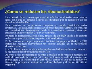 FARMACOLOGÍA DE LAHIDROXIUREA PPT