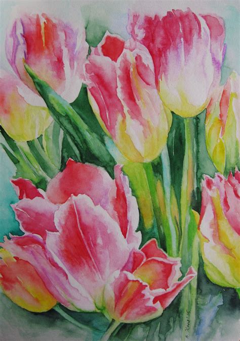 Tulpen 2015 Aquarell Nach Foto Aranka Karl Tulip Drawing Flower