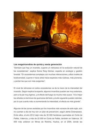 Exposicion Incendio Forestal Pdf