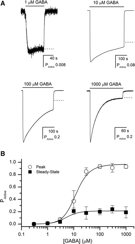 Steady State Activation and Modulation of the Concatemeric α1β2γ2L