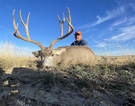 Grizzly Outfitters Wyoming And Montana Trophy Mule Deer And Antelope