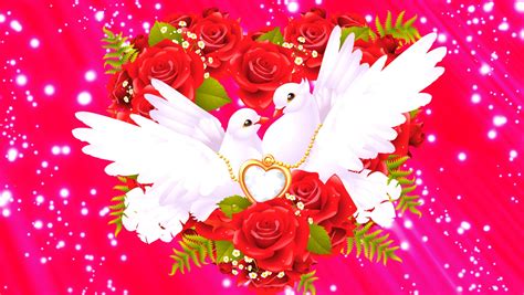 Two White Doves Surrounded By Red Roses In The Shape Of A Heart On A