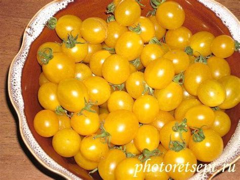 Желтые помидоры Черри маринованные на зиму рецепт вкусный с фото ...