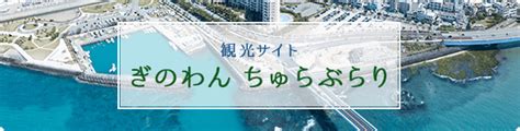 普天間飛行場の一日も早い閉鎖・返還及び速やかな運用停止の実現並びに基地跡地利用の推進について要請を行いました。／宜野湾市