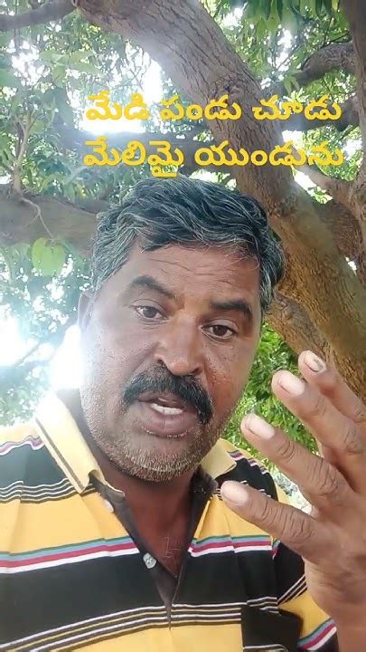 మేడి పండు చూడు మేలిమై యుండును పొట్ట ఇప్పి సూడు Youtube