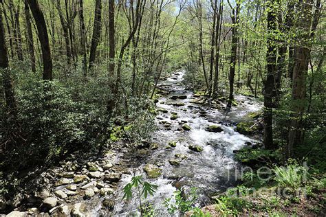 Swiss On Twitter Rt Flai New Artwork For Sale Rocky Stream