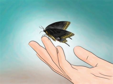 How to Keep Wild Caterpillars As Pets: 13 Steps (with Pictures)