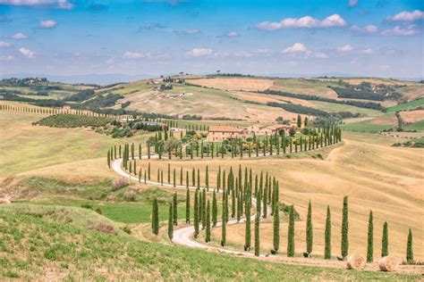 Beautiful Landscape Scenery Of Tuscany In Italy Cypress Trees Along