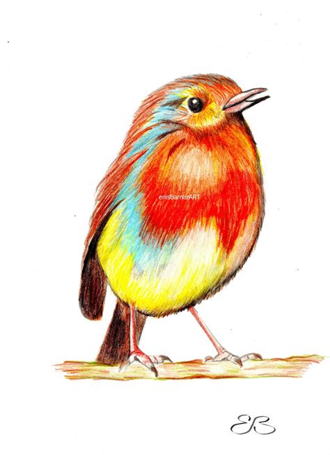 Small Bird Drawing at PaintingValley.com | Explore collection of Small ...