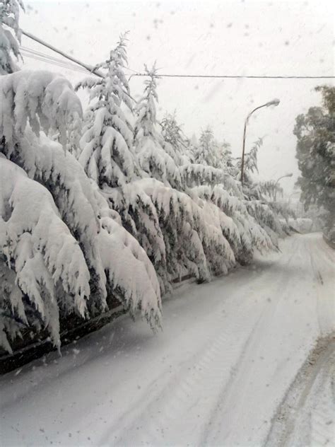 Maltempo Torna Pioggia E Neve A Bassa Quota Cultura A Colori