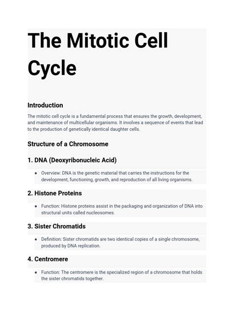 The Mitotic Cell Cycle (A Level) | PDF | Mitosis | Chromosome