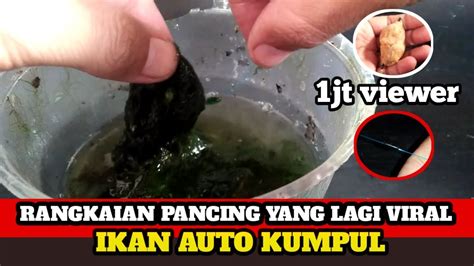 Buruan Coba Trik Ini Cara Membuat Rangkaian Pancing Nila Umpan Lumut