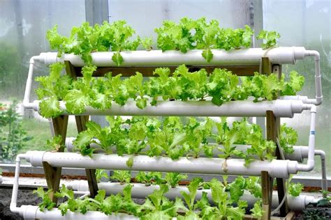 How Much Does It Cost To Set Up A Hydroponic At Home Gardenia Organic