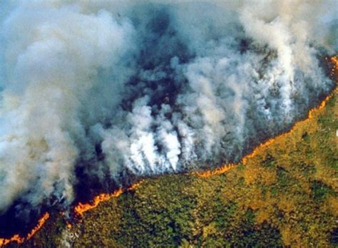 Incendios forestales en el Amazonas superan los 70 000 en el año en