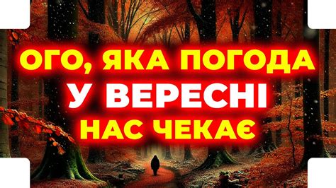 Теплі речі вже потрібно готувати ПОГОДА НА ВЕРЕСЕНЬ 2024 Погода у