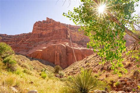 Reflection Canyon Backpacking Guide - Back o' Beyond