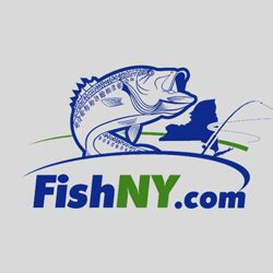 Chain Pickerel Habitat, Spawning, and More - FishNY