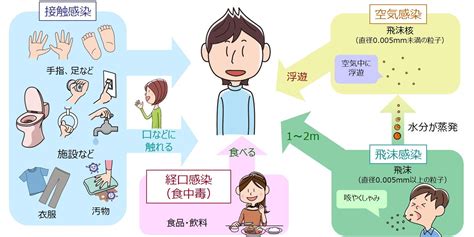 感染とは何か？その原因は？など、感染症の基本について解説 感染防止対策 感染防止対策・食品衛生 ライオンハイジーン株式会社