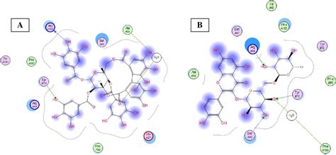 Chemical Composition Antioxidant And Hepatoprotective Activities Of Methanol Extracts From