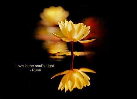 Rumi Quotes About Happiness. QuotesGram