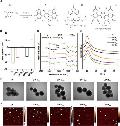 Synthesis And Physicochemical Characterization Of Pda Nps P And