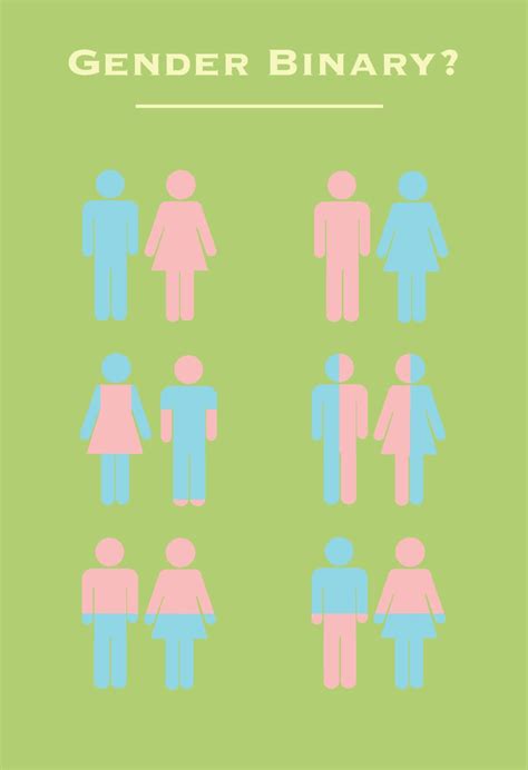 This Photo Divides The Male And Female Figures Into Blue And Pink To Represent How Males And