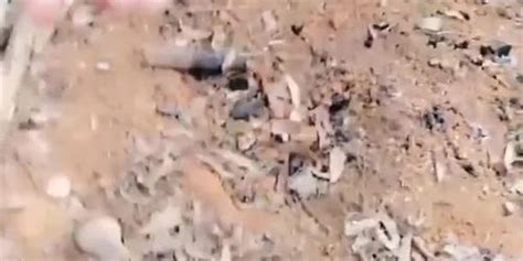 Chinese Cam Girl Liuting Outdoor Sex Tnaflix