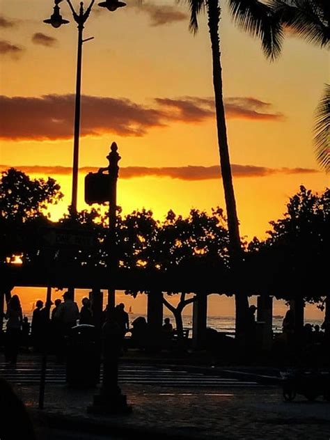 Hawaii Sunset Silhouette - Free photo on Pixabay - Pixabay