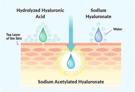 Sodium Acetylated Hyaluronate - Freshine Chem