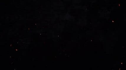 Hot Animated Futa Babes Having Sex In An Asylum