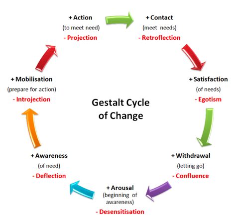 Gestalt Cycle Alp Network