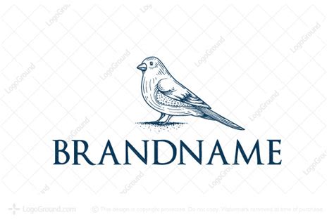 Little Bird Logo