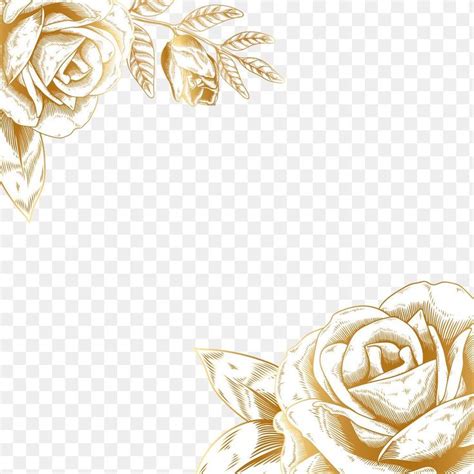 Hand Drawn Gold Rose Border Design Element | Premium PNG Image