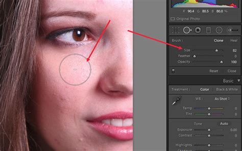 How To Install Lightroom Brushes Artofit