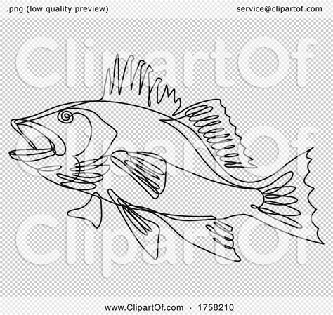 Largemouth Bass Side View Continuous Line Drawing By Patrimonio 1758210