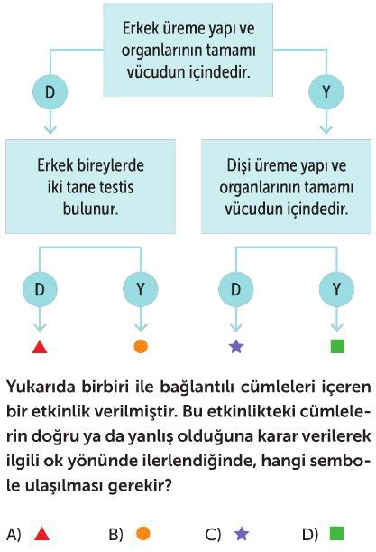 İnsanda Üreme Büyüme ve Gelişme Test Çöz 7 Sınıf Fen Bilimleri Testleri