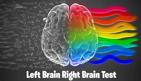 Left Brain Right Brain Test. 100% Reliable Psychology-Based