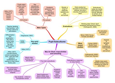 Pupil Subcultures - ReviseSociology